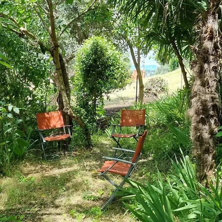 Manzati 公寓 维罗纳