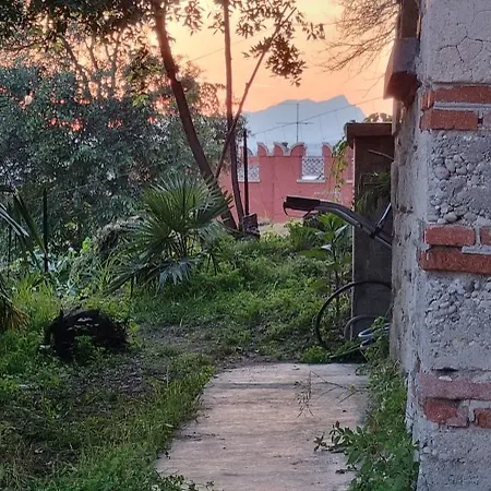 Manzati *